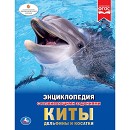 ���� ������