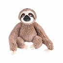 ���� ������