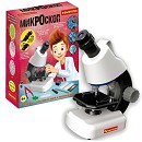 ���� ������