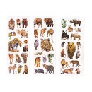 ���� ������