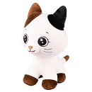 ���� ������