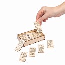 ���� ������