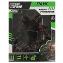 ���� ������