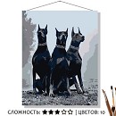 ���� ������