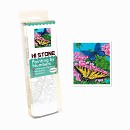 ���� ������