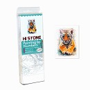 ���� ������