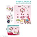 ���� ������