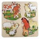 ���� ������