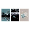 ���� ������