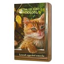 ���� ������