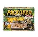 ���� ������