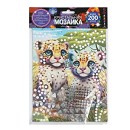 ���� ������