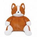 ���� ������