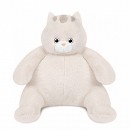 ���� ������