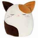 ���� ������