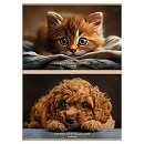 ���� ������