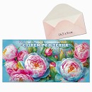 ���� ������