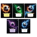 ���� ������