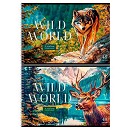 ���� ������