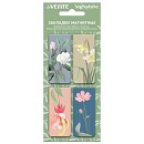 ���� ������