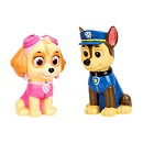 ���� ������