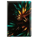 ���� ������