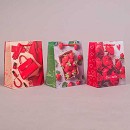 ���� ������