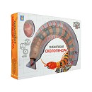 ���� ������