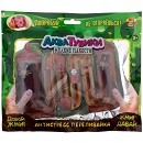 ���� ������