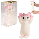 ���� ������