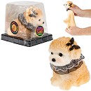 ���� ������