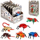 ���� ������