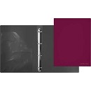 ���� ������